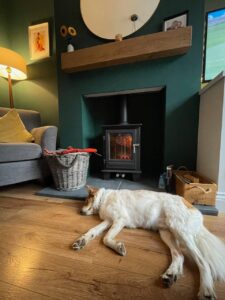 abbey fire centre case study 9